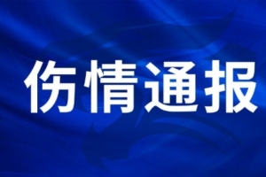 王毅右膝外侧副韧带受伤，陈哲超腓骨肌腱及外踝韧带受损