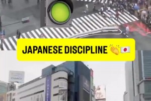 40秒❗️日本球迷绿灯后冲出庆祝绝平荷兰，红灯后停止庆祝
